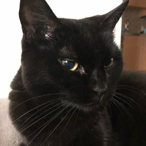 Hi I’m Michelle. I buy way too many jeans. 😬 Looking to downsize my closet.